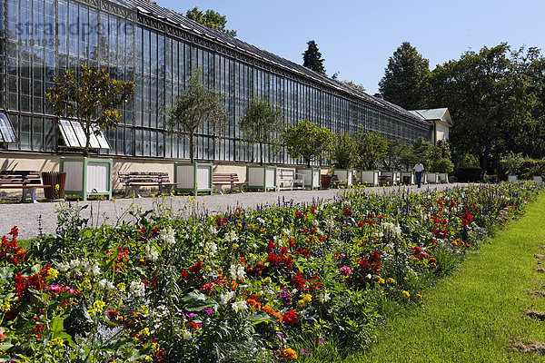 Park und Gewächshaus im Schlosspark Nymphenburg in der Landeshauptstadt München  Oberbayern  Bayern  Deutschland