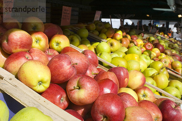 Obststand mit Äpfeln  Viktualienmarkt  München  Bayern  Deutschland