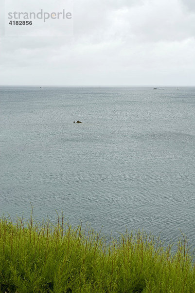 Meer bei Carantec  Bretagne  Frankreich