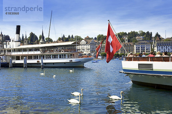 Dampfschiffe auf dem Vierwaldstätter See bei Luzern  Schweiz  Europa