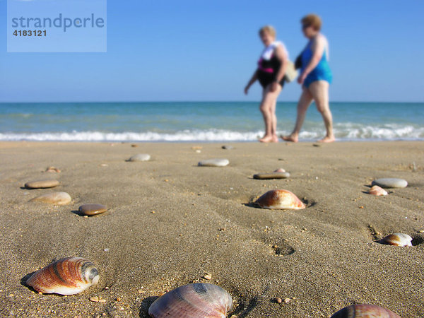 Zwei Frauen spazieren am Strand mit Muschelschalen und Steinen