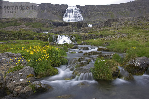 Fjallfoss  Dynjandi  Westfjorde  Island