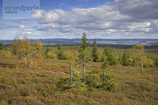 Riisitunturi-Nationalpark im Herbst  Finnland