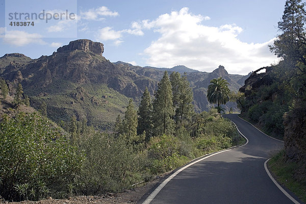 Straße in den Bergen  Gran Canaria  Spanien