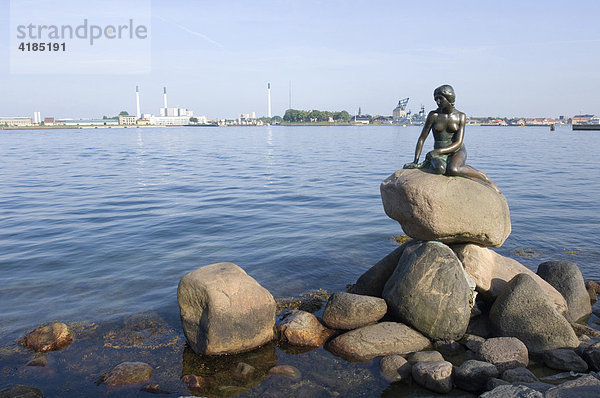 Die kleine Meerjungfrau  Wahrzeichen von Kopenhagen  Dänemark.