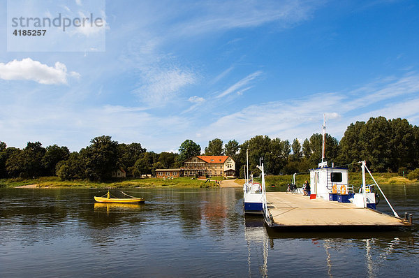 Gierseilfähre auf der Elbe zwischen Coswig und Wörlitz  Sachsen-Anhalt  Deutschland