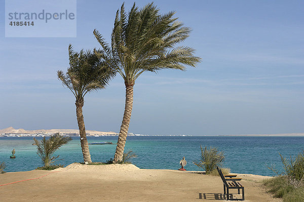 Badeort Hurghada am Roten Meer. Strand eines Luxus Hotels mit Palmen und schoener Aussicht auf die Stadt  Hurghada  Ägypten