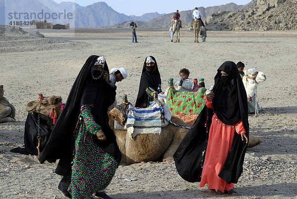Wüste nahe Hurghada am Roten Meer. Frauen in einem Beduinendorf bieten Ritte auf einem Dromedar an  Hurghada  Ägypten