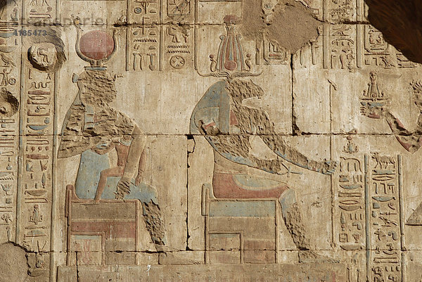 Horus Tempel - die am besten erhaltene Tempelanlage in Ägypten. Pylone des Eingangsbereichs. Gut erhaltene Reliefs mit alten Farben  Gesichter der Götter wurden durch fruehe Kopten zerstoert  Edfu  Ägypten