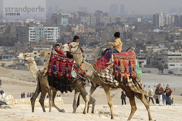 Die Pyramiden in Gizeh. Beduinen bieten Touristen Kamelritte an  Gizeh  Kairo  Ägypten