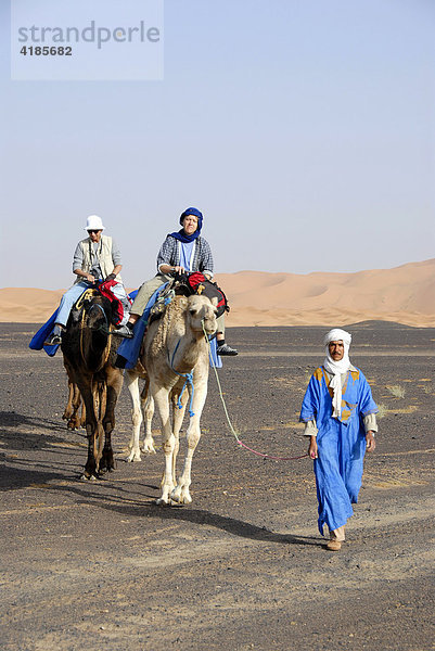 Touristen reiten auf Kamelen geführt durch einheimischen Tuareg durch ebene Steinwüste Reg Serir  im Hintergrund Erg Chebbi  Merzouga  Marokko