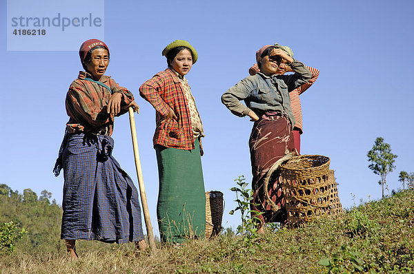 Landarbeiterinnen in Myanmar  Burma