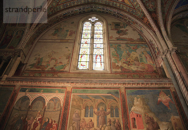 Basilika San Francesco  Hauptschiff der Oberkirche  Assisi  Umbrien  Italien