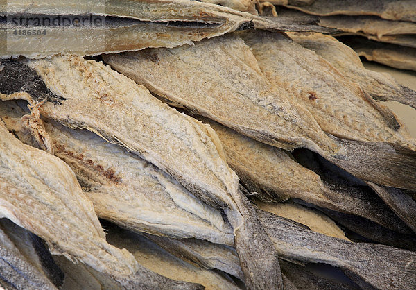 Getrockneter Stockfisch  Kabeljau  Bacalhau  Portugal