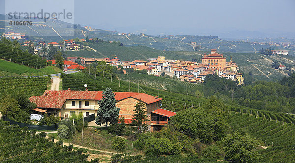 Weingut und Kastell Castello Falletti und Ort Barolo  Langhe  Piemont  Italien