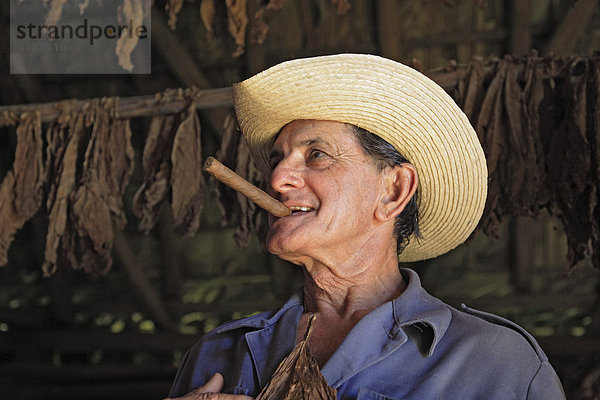Tabakbauer im Valle de Vinales in der Sierra de los Organos  Kuba  Karibik