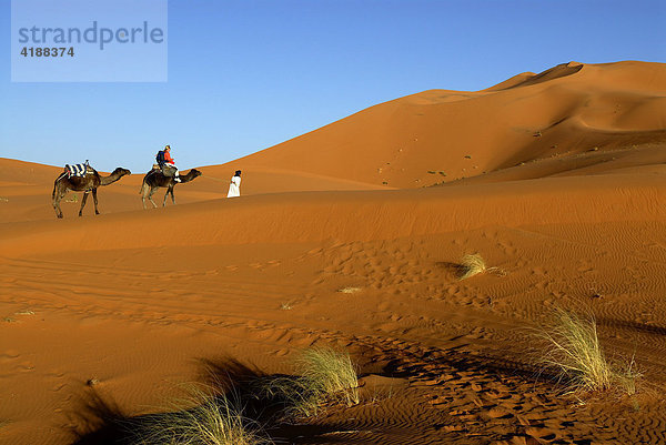 Kamelreiter mit Führer in der Wüste  Erg Chebbi  Merzouga  Marokko  Nordafrika