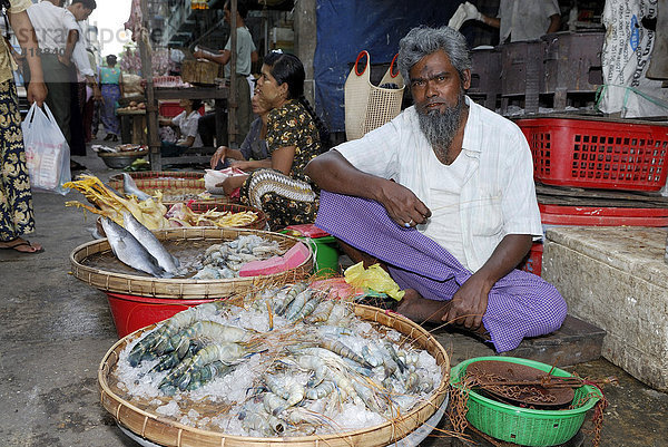 Fischverkäufer mit vollem Korb frischer Krabben  Yangon (Rangun)  Myanmar (Burma)  Südostasien