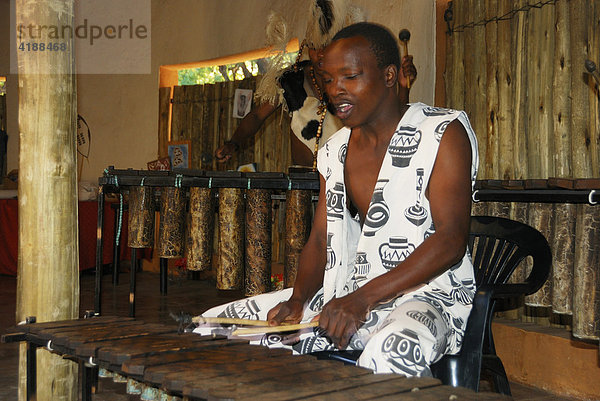 Dunkelhäutiger Musikant spielt auf einem Xylophon Südafrika  Afrika