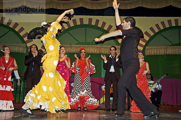 Flamenco der Nationaltanz  Andalusien  Cordoba  Spanien