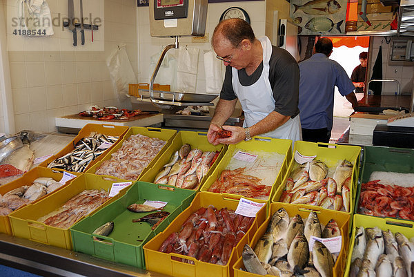 Fischmarkt in Gallipoli  Apulien  Süditalien  Italien