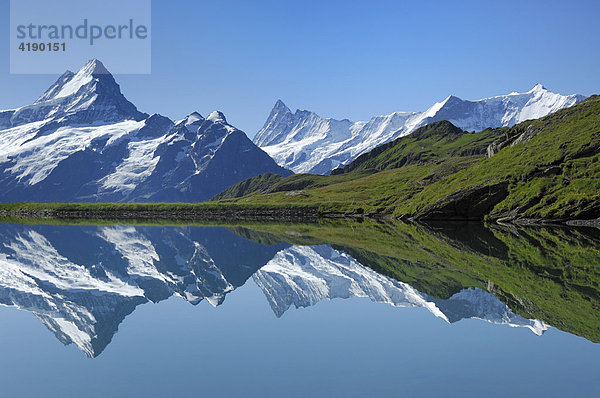 Schreckhorn spiegelt sich im Bachalpsee  First bei Grindelwald  Berner Oberland  Schweiz
