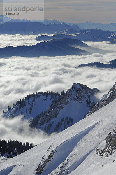 Sicht vom Pilatus über die Zentralschweizer Alpen und das Nebelmeer  Luzern  Schweiz