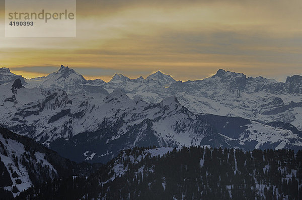 Sonnenaufgang auf der Rigi  mit Sicht in die Zentralschweizer Alpen  Kanton  Schwyz  Schweiz