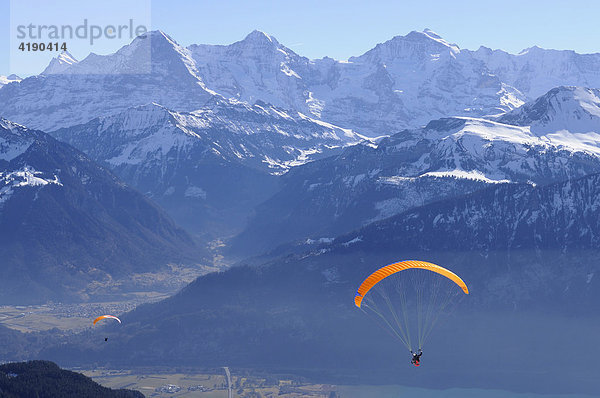 Gleitschirmflieger vor der Bergkette Eiger  Mönch und Jungfrau  Berner Oberland  Niederhorn  Interlaken  Schweiz