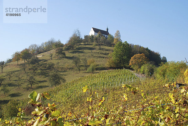 Wurmlinger Kapelle Tübingen Baden Württemberg Deutschland