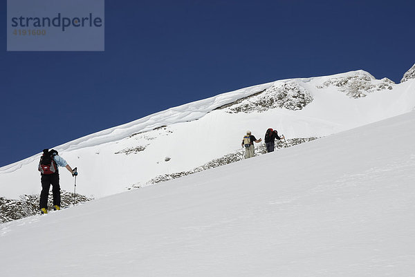 Skitourengeher beim Gipfelaufstieg im Rofan Gebirge  Tirol  Österreich  Europa