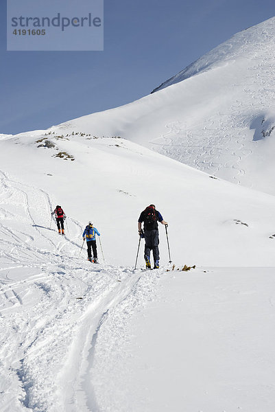 Bergsteiger ersteigen auf Skiern einen Gipfel im Hochgebirge Rofan  Tirol  Österreich  Europa