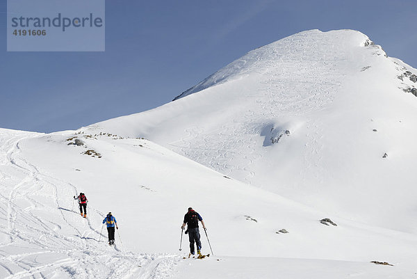 Tourengeher queren auf Skiern einen Schneehang mit Abfahrtsspuren  Rofan Gebirge  Tirol  Österreich  Europa