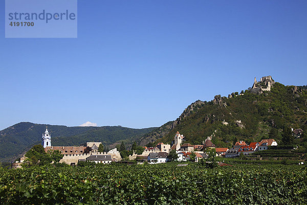 Dürnstein mit Ruine Dürnstein  Wachau  Niederösterreich  Österreich  Europa