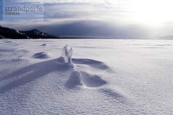 Eisscholle und Schneewehen  Lake Laberge  Yukon Territorium  Kanada