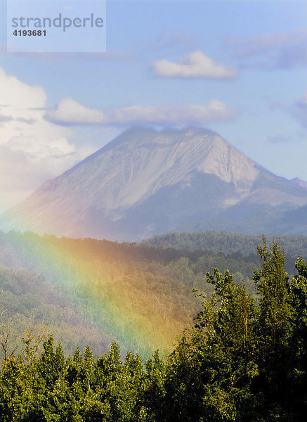 Regenbogen vor den Chugach Mountains  Wald  Berg  Alaska  USA