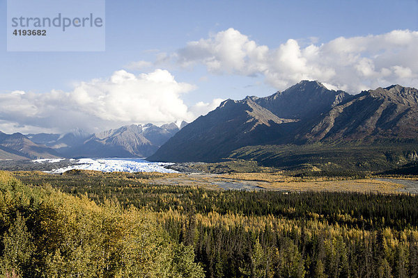 Matanuskagletscher  Chugach Mountains  Gletscher  Eis  Wald  Berge  Herbstlaub  Alaska  USA