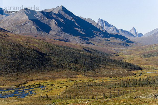 Herbstliche Tundra vor den Tombstone Mountains  Yukon Territorium  Kanada