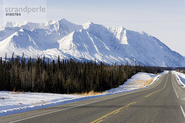Alaska Highway südlich von Haines Junction  St. Elias Bergkette  Fichten  Yukon Territory  Kanada  Nordamerika