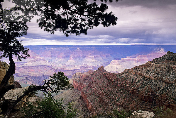 Grand Canyon National Park  Panoramablick  Arizona  USA