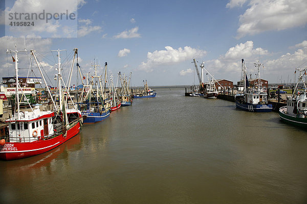 Fischereihafen von Dornumersiel  Ostfriesland  Niedersachsen  Deutschland