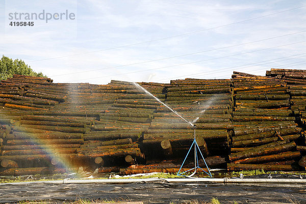 Lagerung und Bewässerung von Holzstämmen