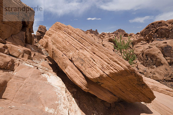 Felsen am Mouse's Tank Trail  Mouse's Tank  Petroglyph Canyon  Valley Of Fire State Park  Nevada  USA