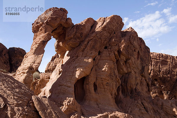 Elephant Rock  Valley Of Fire State Park  Nevada  USA
