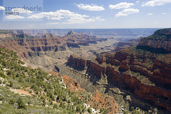 North Rim. Grand Canyon National Park. Arizona.USA.