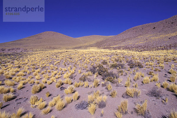 Landschaft in der Atacama Wueste Chile