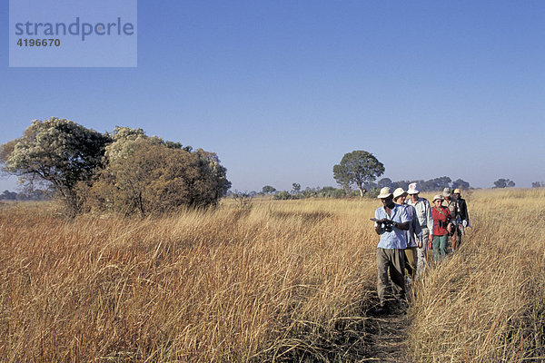 Wanderung mit Fuehrer auf Fuss Safari Okovango Delta Botswana