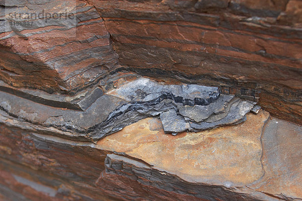 Blauer Asbest in Gesteinsschicht Dales Gorge Karijini National Park Pilbara Region Westaustralien WA