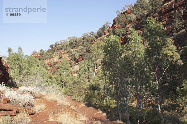 Dales Gorge Karijini National Park Pilbara Region Westaustralien WA