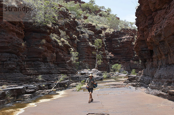 Mann wandert in Kalamina Gorge Karijini National Park Pilbara Region Westaustralien WA